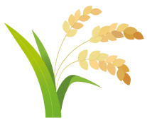 Rice icon