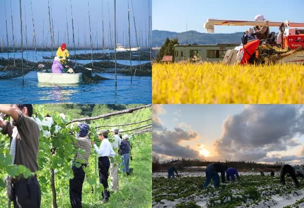 SDGsや復興支援などの社会テーマ