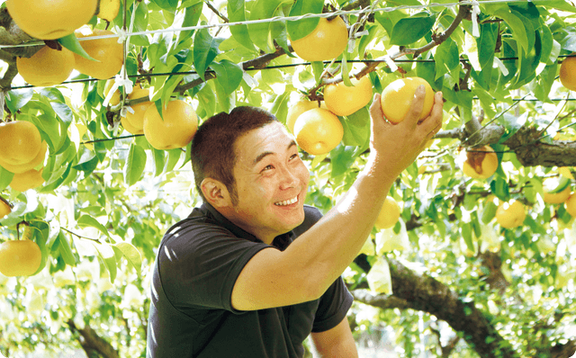 社会テーマに沿ったギフト - 農業