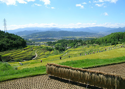 原点
