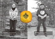【わかたけ】堀うち農園の完熟富有柿のカードイメージ