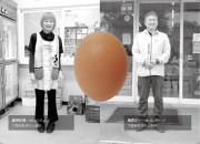 アスタキサンチン卵赤玉のカードイメージ