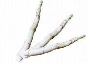【やまぶき】季節の会津野菜の外観