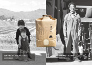 【わかたけ】長野県産コシヒカリ　特別栽培米　遥陽（はるひ）のカードイメージ