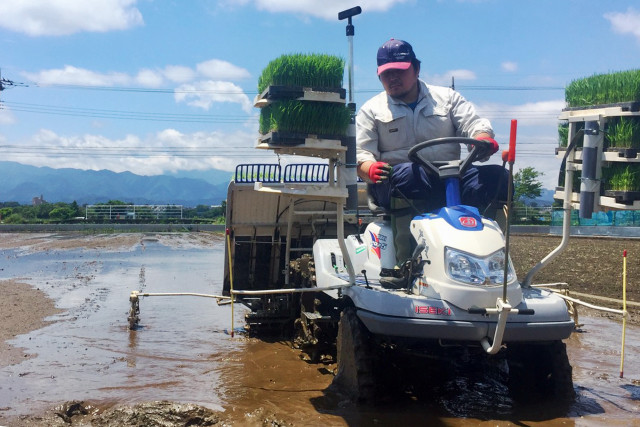 ざまのおこめ季節の野菜セット 2