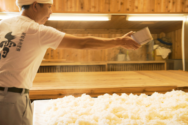 昆布海道 ふくい 澪曳 2