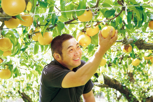 新潟産ルレクチェ 2