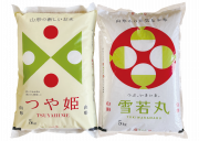 【ふじ】ブランド米食べ比べセット