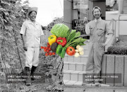 【やまぶき】伊豆メディカル農園　旬の野菜詰め合わせセットのカードイメージ
