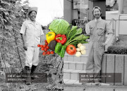 【わかたけ】伊豆メディカル農園　旬の野菜詰め合わせセットのカードイメージ