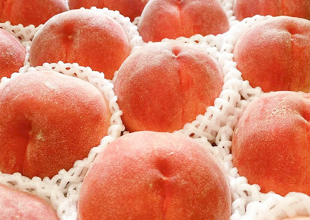 【やまぶき】大藤ワクワク桃 2