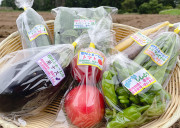 樫村ふぁーむの旬のお野菜BOX