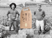 【わかたけ】特別栽培米と旬のお野菜セット