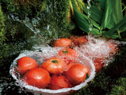 【わかたけ】南信州の完熟トマトのジュース
