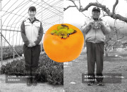 【わかたけ】生柿（富有柿）のカードイメージ