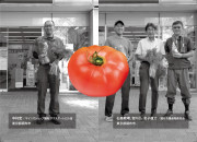 調布市産トマトと 冬野菜詰め合わせのカードイメージ