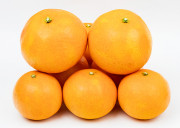 【ふじ】佐木島の旬の柑橘
