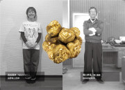 岐阜市産キクイモのカードイメージ