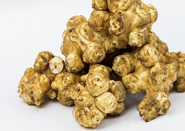 岐阜市産キクイモ 2