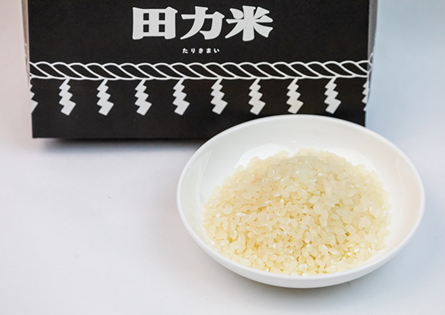 田力米 愛媛ならではのお米セット 2