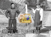 県産素材のふわふわシフォンケーキセットのカードイメージ