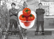 フルーツトマト“くまとま”のカードイメージ
