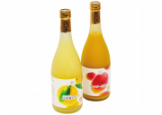 【わかたけ】宮崎果汁マンゴーと日向夏のドリンクセットの外観