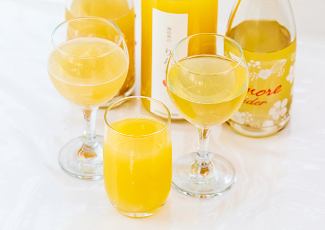 【わかたけ】南信州のりんごの恵みセット 2