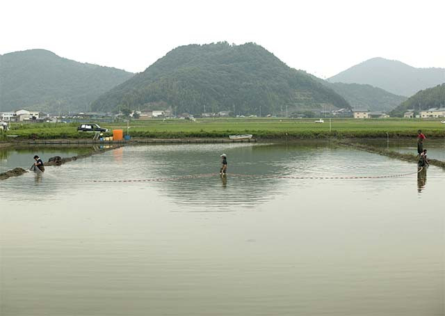 没頭写真