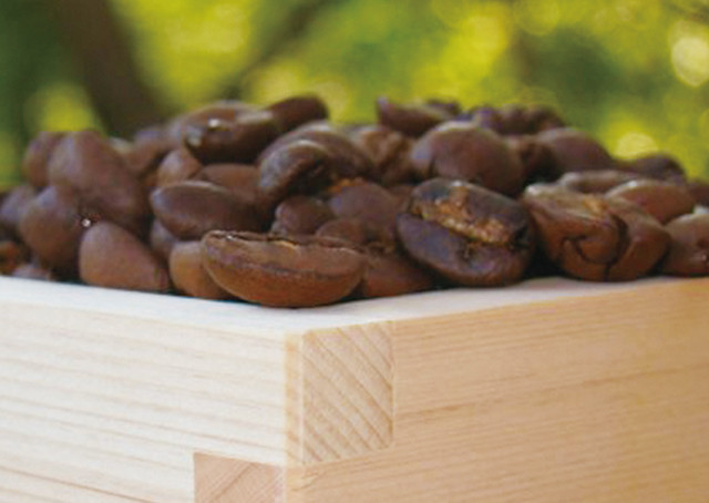 幻の珈琲トゥンキマヨ 2