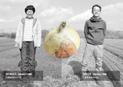 【わかたけ】淡路島玉ねぎのカードイメージ