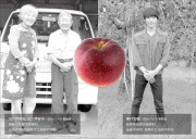 【ふじ】3品種飲み比べ　りんご果汁100％ジュースのカードイメージ