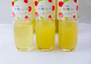 【ふじ】3品種飲み比べ　りんご果汁100％ジュース