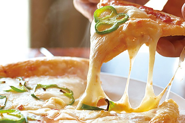 十勝千年の森 チーズギフト 2