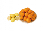 【わかたけ】季節の柑橘類詰め合わせの外観