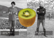 【ふじ】有機JAS認証キウイフルーツのカードイメージ