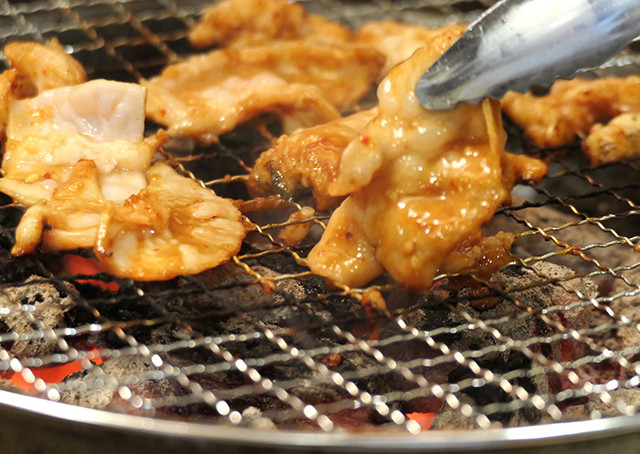 老舗が誇るたっぷり三河産豚ホルモン&ハラミ 2