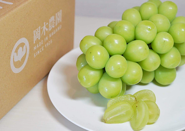 【ふじ】北信濃のシャインマスカット 2