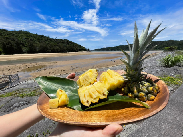 太陽の贈りもの 2