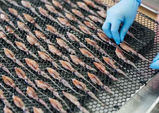 富山湾の幸 ほたるいか深干しセット 2