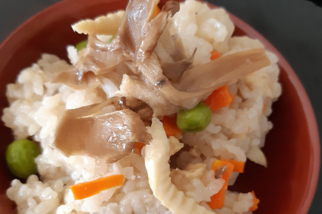 原木みやま舞茸 2