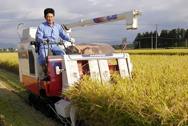 秋田産あきたこまち 3