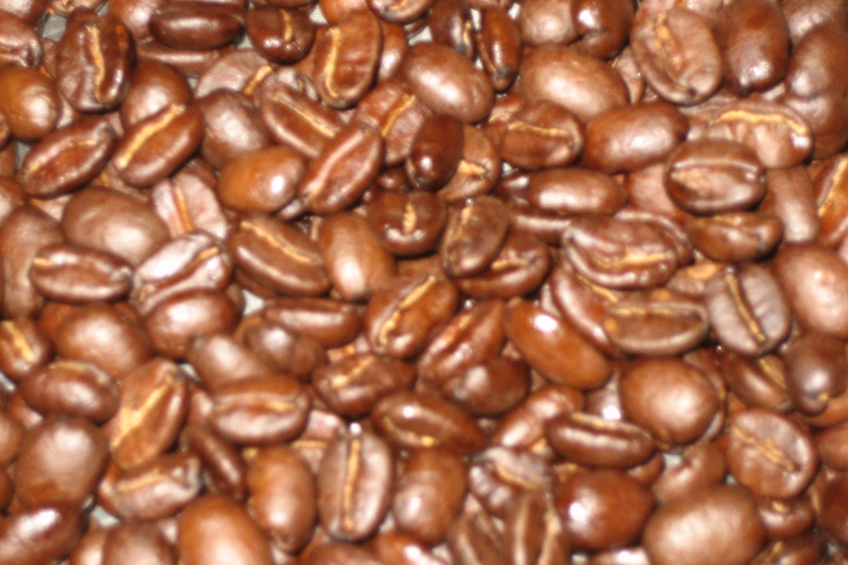 焼きたて珈琲豆 4