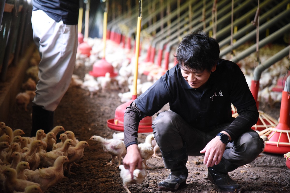 伊万里ヤマンドリ ローストチキン 4