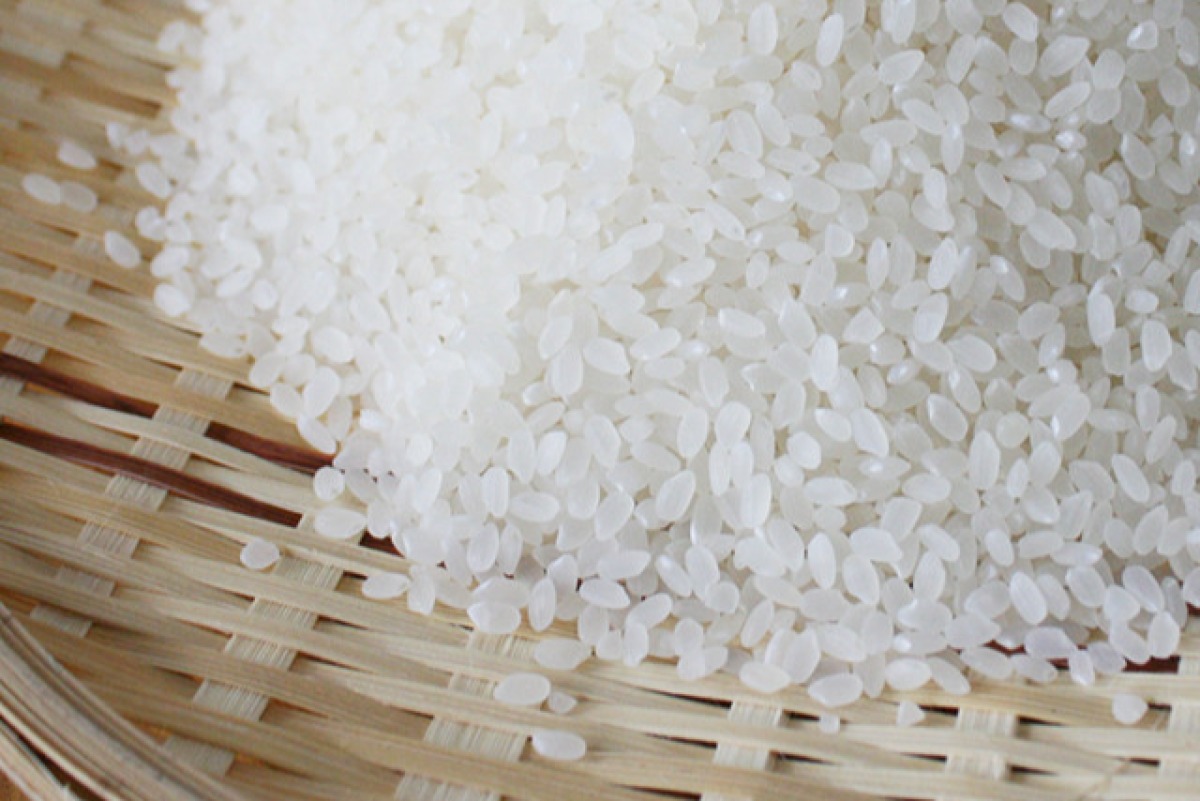 まぼろしのコシヒカリ1.6kg 2