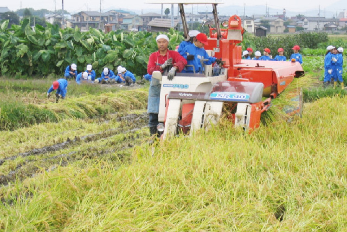 まぼろしのコシヒカリ1.6kg 3