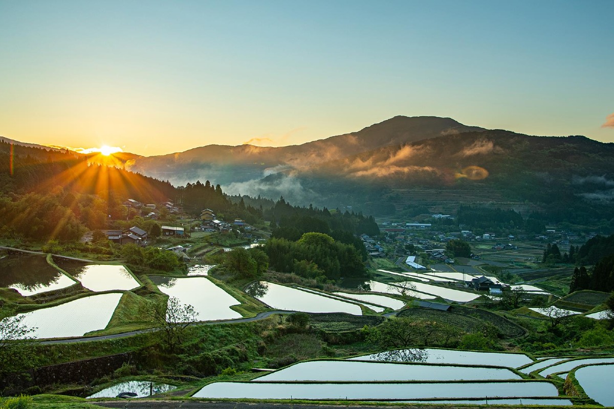 奥美濃古地鶏Aセット 4