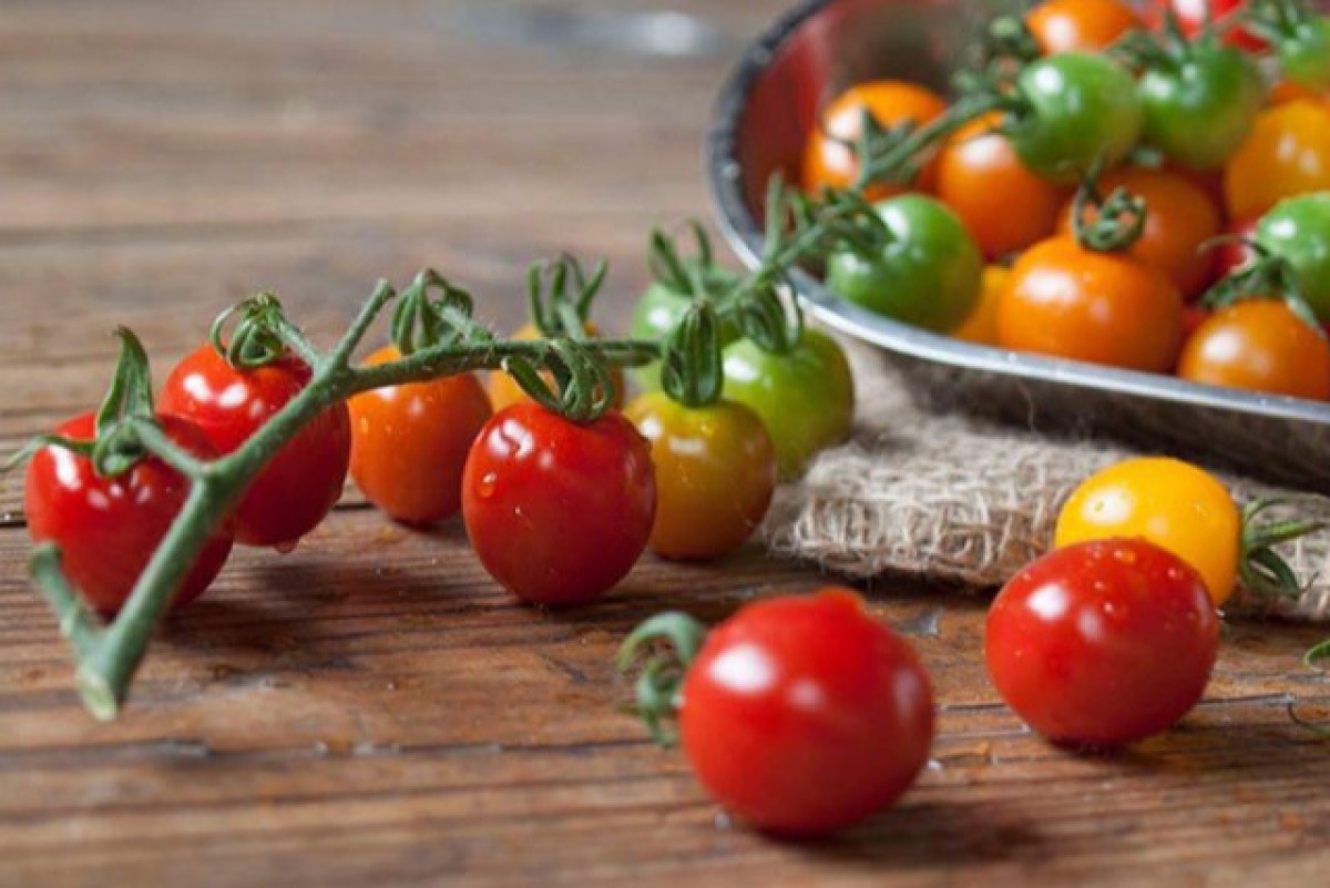 会津野菜2セット（春夏） 3