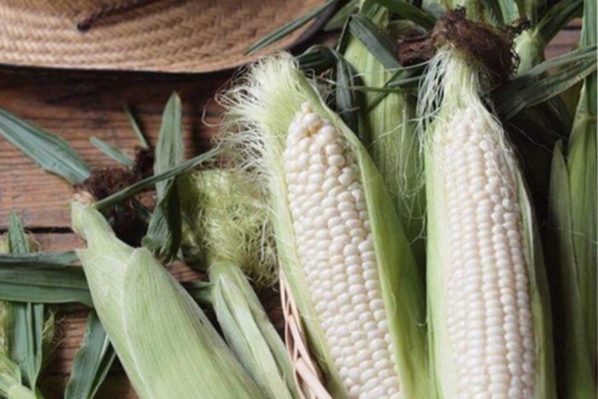 季節の会津野菜(夏) 2