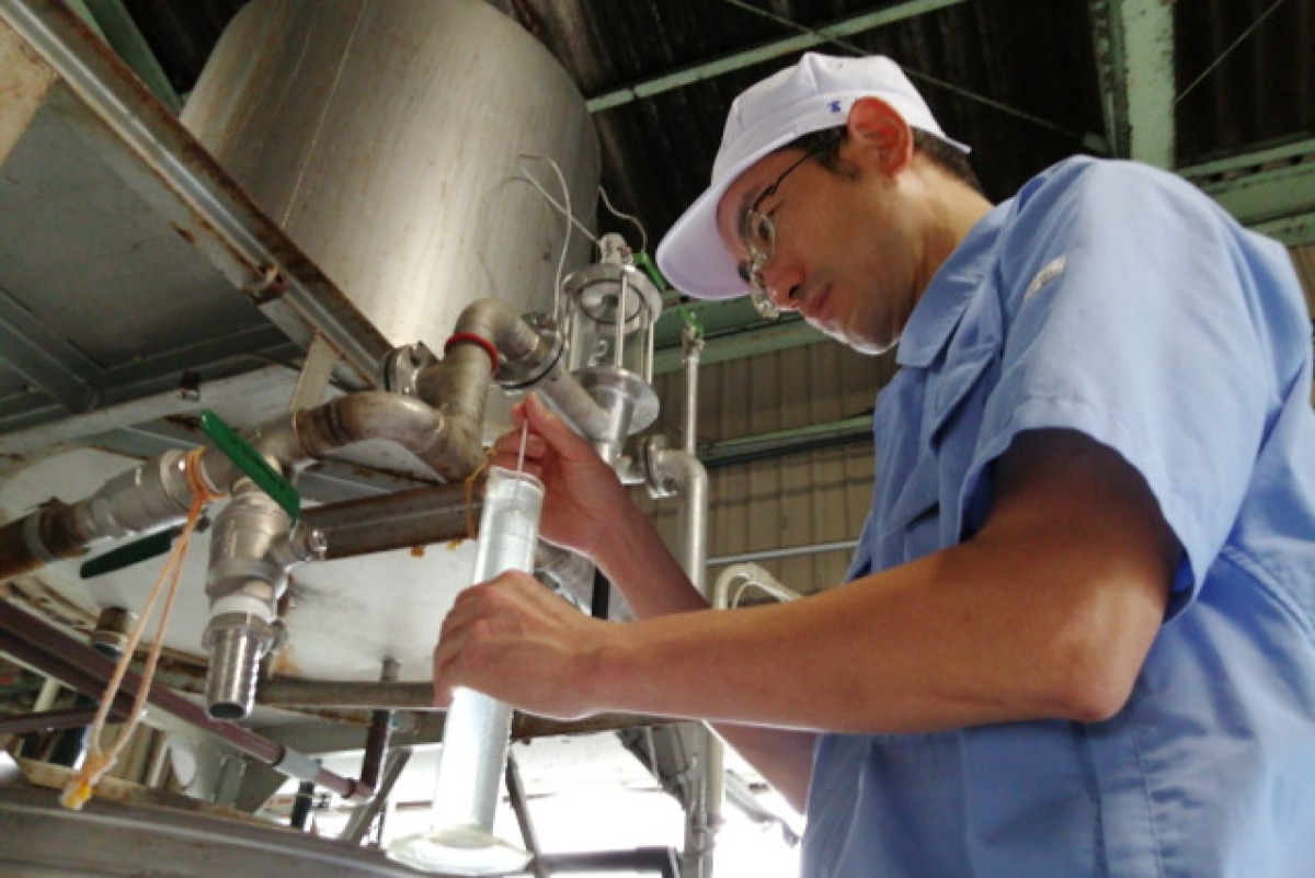 本格芋焼酎鳴門金時里娘 3